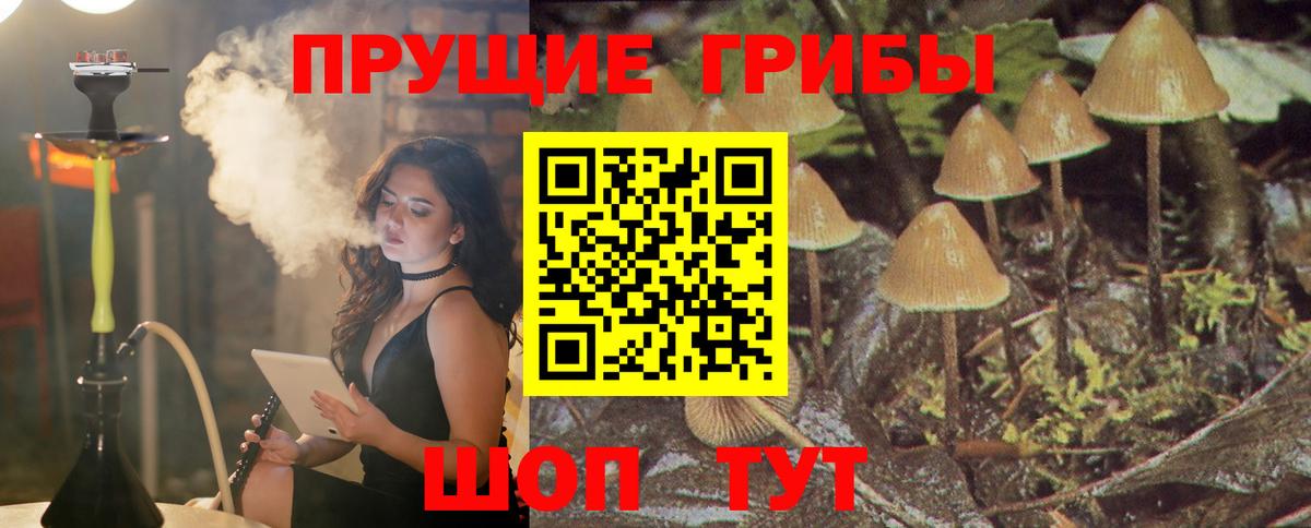 Галлюциногенные грибы мухоморы Ярославль